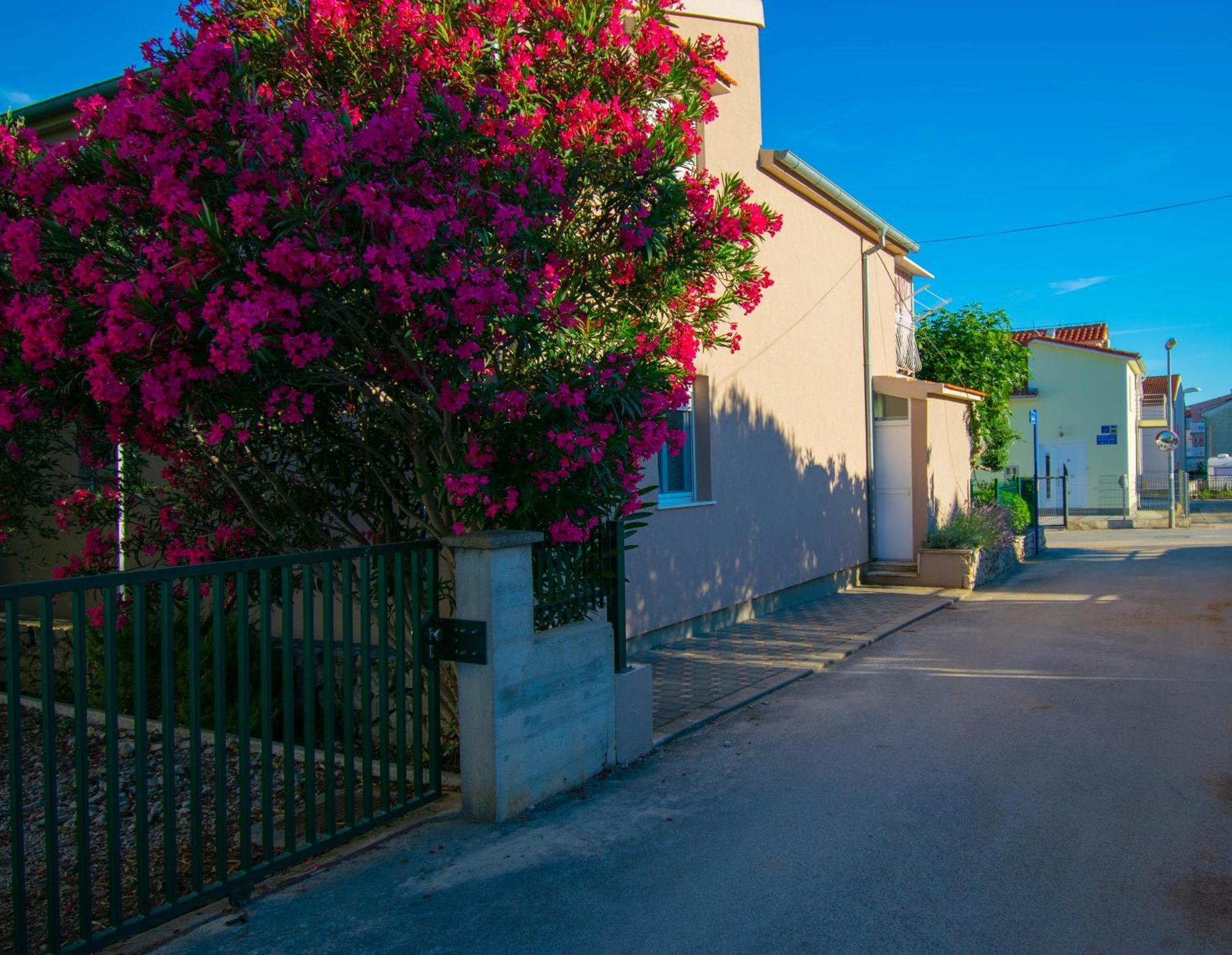 Apartments Anita Frane Vodice Exterior photo